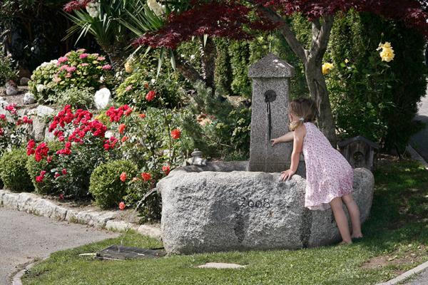 Steinbrunnen im Garten